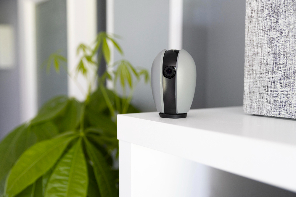 Descubre los Diversos Tipos de Cámaras TP-Link